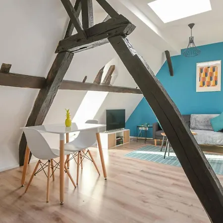 Apartment Cosy Vieux Lille, Proche Metro Et Gares